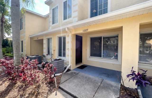 10823 BRICKSIDE COURT - 10823 Brickside Court, Riverview, FL 33579