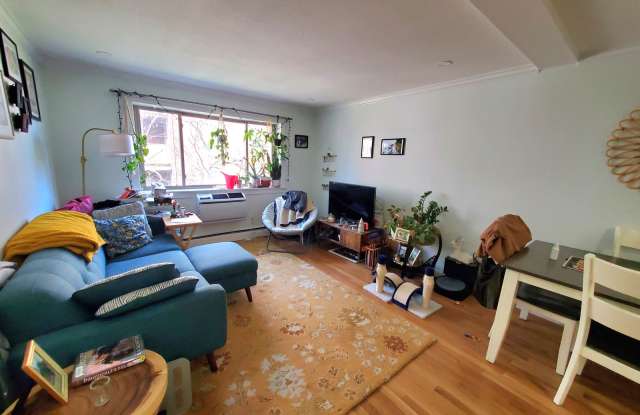 329 Harvard Street - 329 Harvard Street, Cambridge, MA 02139