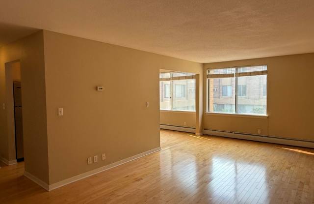 Lovely Lowry Hill 1 Bedroom Condo Gallery 4