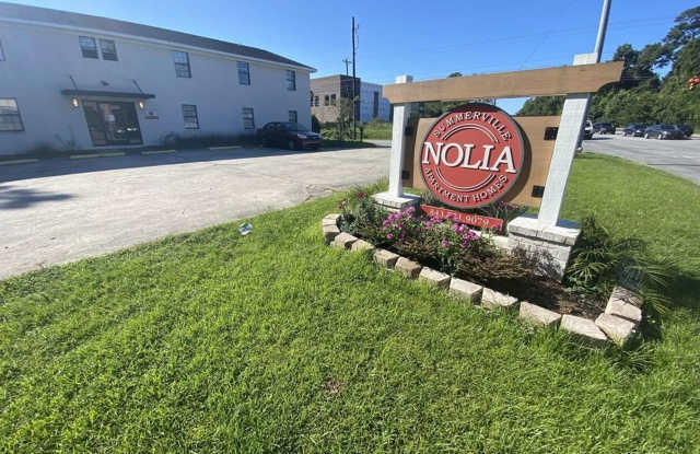 Fully Renovated 2 Bed 1 Bath Apartment By Downtown Summerville! photos photos