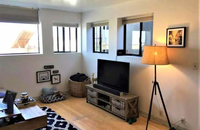 6201 Ocean Front Walk #4 Gallery 3