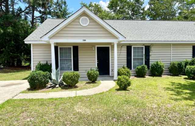 109 Poet Place - 109 Poet Place, Lexington County, SC 29072