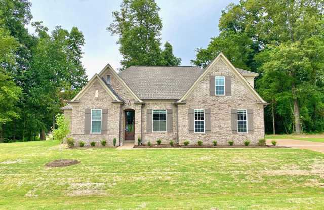 ShinaultLane4172 photos photos