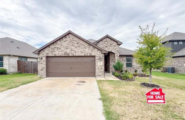 365 Paloma Street - 365 Paloma St, Parker County, TX 76087