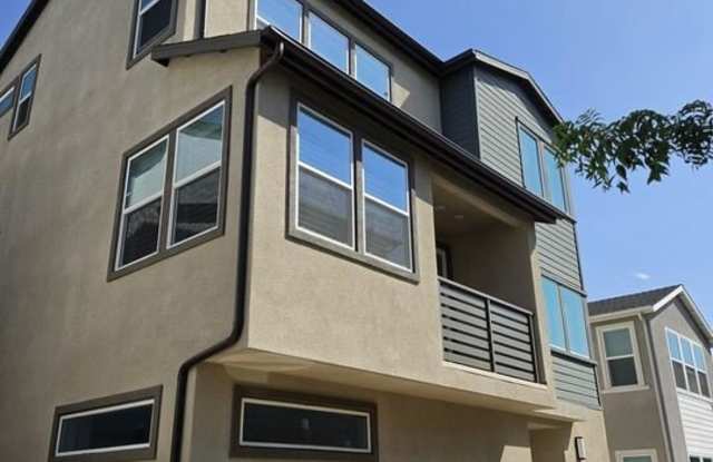 426 Lobata Gallery 1