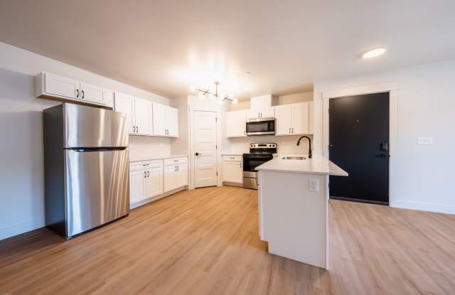 Jumbo 1 bed 1 bath  Modern Apartment - 1017 sqft Gallery 4