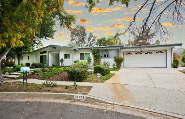18601 Palomino Drive photos photos