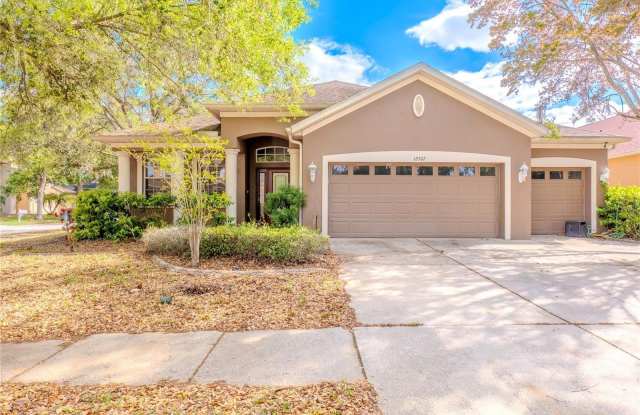 12507 BURGESS HILL DRIVE photos photos