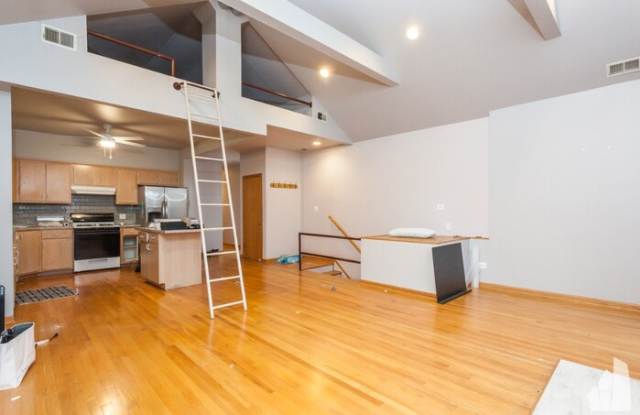 1249 North Paulina Street - 1249 North Paulina Street, Chicago, IL 60622