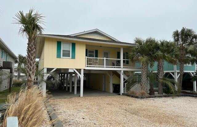 38 Newport Street photos photos