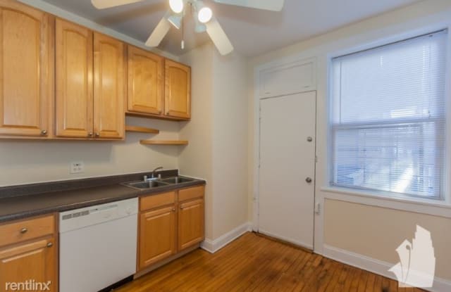 859 W Cornelia Ave 1s - 859 W Cornelia Ave, Chicago, IL 60657