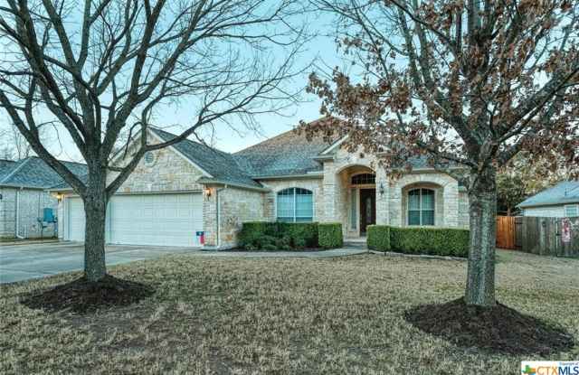 3756 Cerulean Way - 3756 Celurean Way, Round Rock, TX 78681