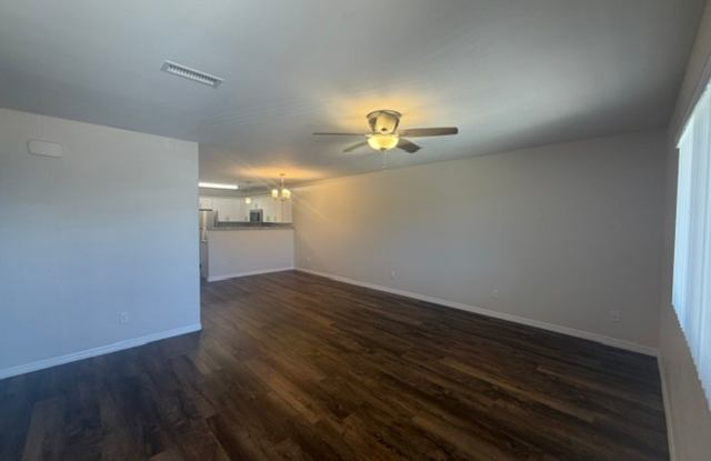 470 C Gallery 2