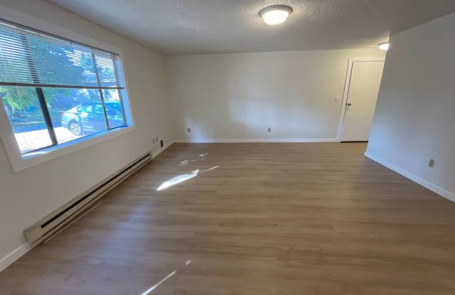 Updated 4 Bedroom 1 bathroom Home!!! Gallery 4