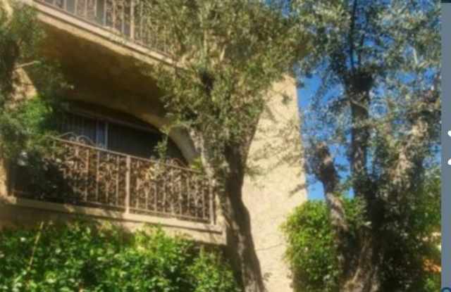 Hermitage photos photos