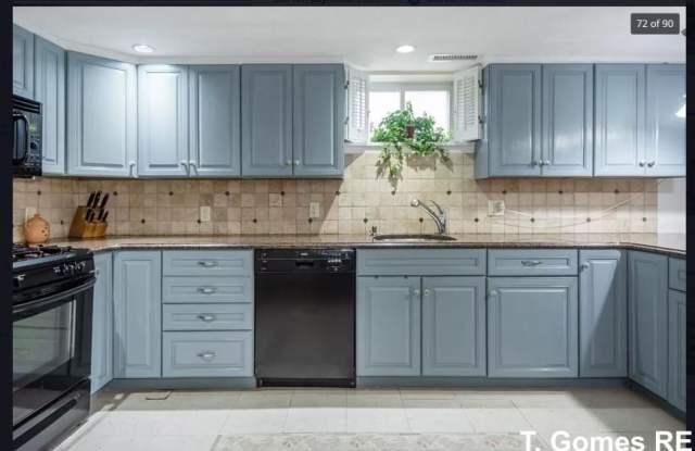 1 Theurer Park photos photos 1 Theurer Park photos photos