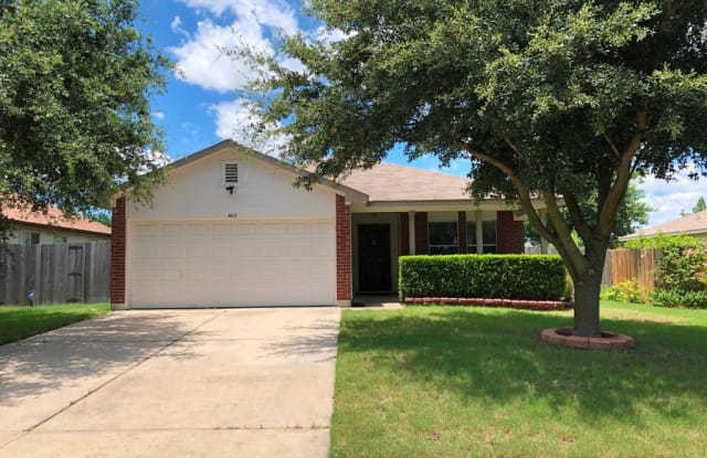 403 Ballentine Ct - 403 Ballentine Court, Hutto, TX 78634
