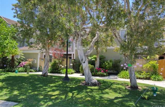 3526 Bravata Drive Gallery 4