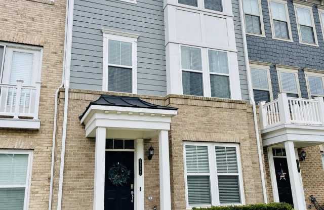 17255 HERRING GULL Lane Gallery 2