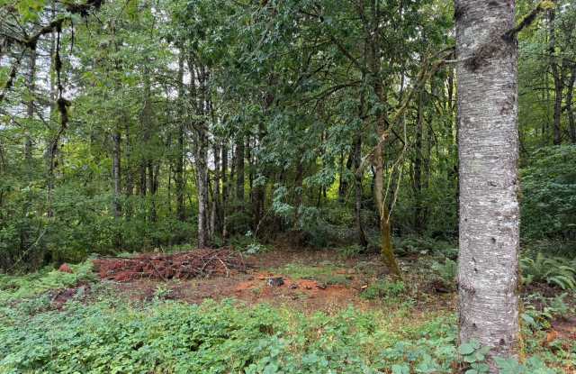 2BD/2BA HOME IN LEBANON Gallery 4