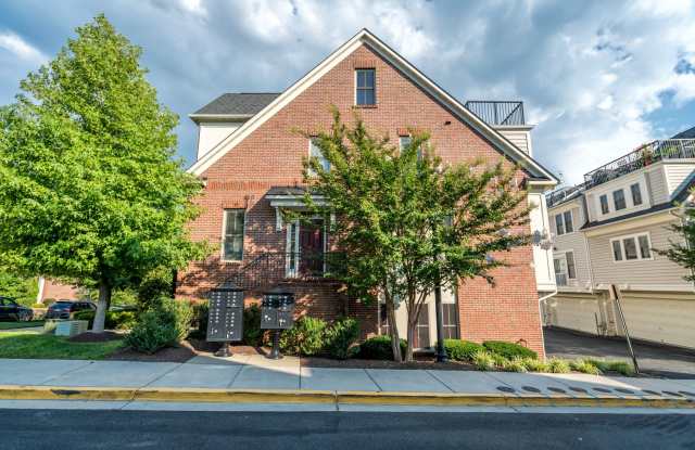 Gorgeous And Upgraded 2 Bedroom 3.5 Bathroom End Unit Townhome In Popular Shirlington Crest photos photos