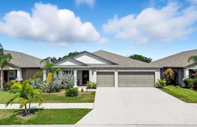 16534 Delia St Wimauma FL 33598 - 16534 Delia Street, Wimauma, FL 33598