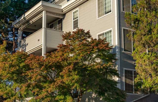 5307 LIVE CLOSE TO UNIVERSITY VILLAGE AND UW! photos photos