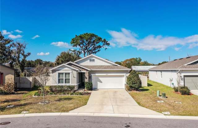 4533 BRECCIA LANE photos photos