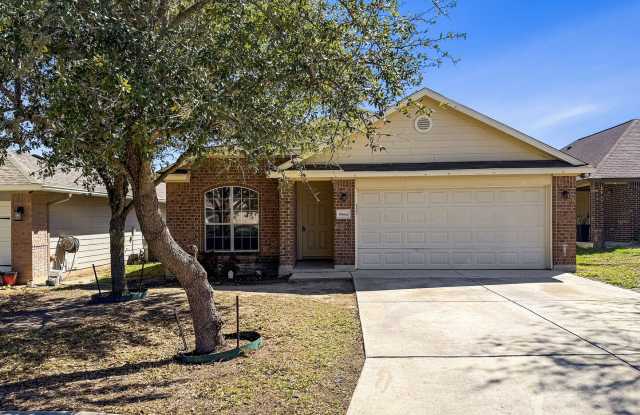 9566 Everton photos photos