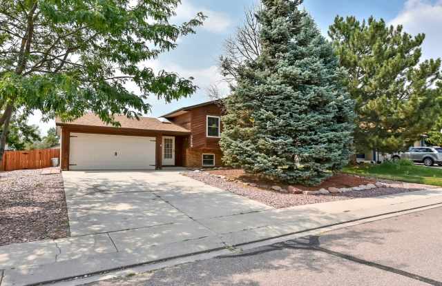 Huge yard with Pikes Peak Views! photos photos