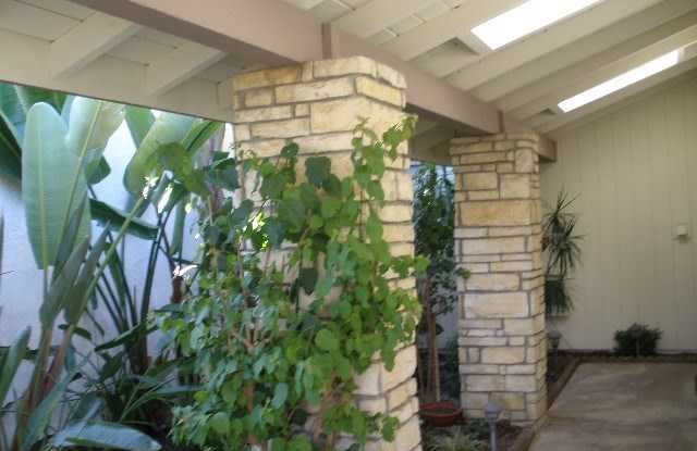 12 Skysail Drive Gallery 3