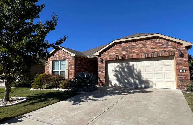 315 Tradinghouse Creek St-Unfurnished Sun City Rental Available Now - 315 Tradinghouse Creek Street, Georgetown, TX 78628