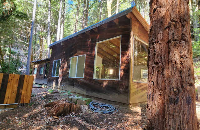 Cabin In the Wood! Gallery 4