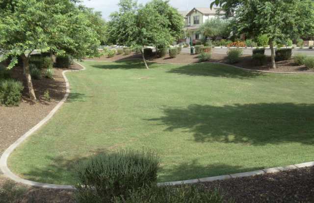 4379 E Selena Dr Gallery 4