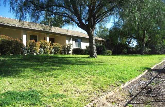 29175 THE YELLOW BRICK ROAD photos photos