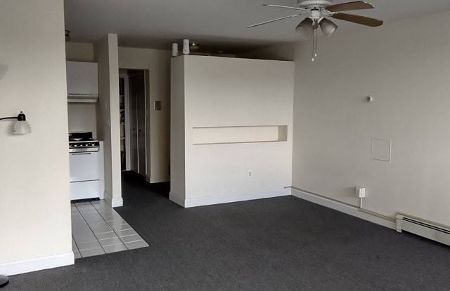141 E Lake Boulevard - 141 East Lake Boulevard, Mahopac, NY 10541