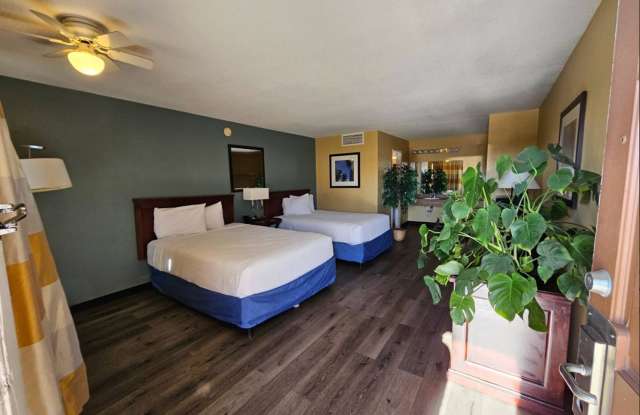 Ville 718 photos photos