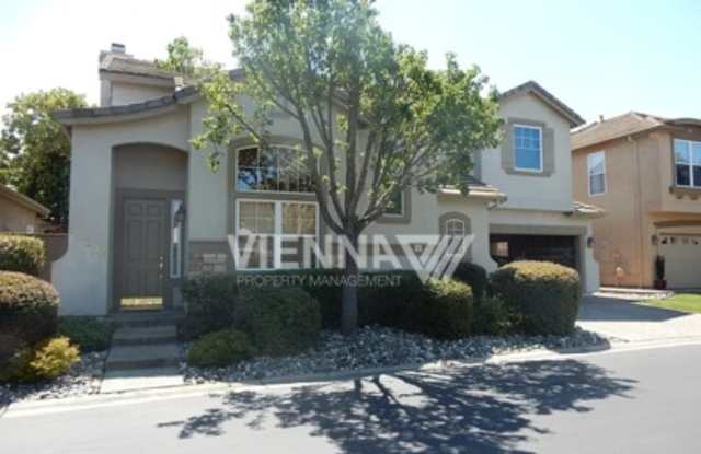 12136 Gold Bluff Lane photos photos