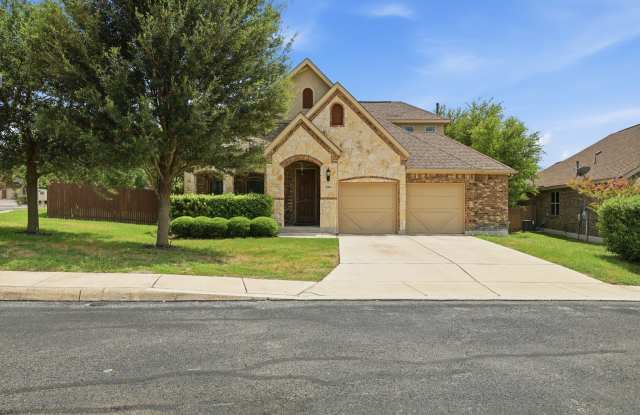 5303 AZALEA FERN photos photos