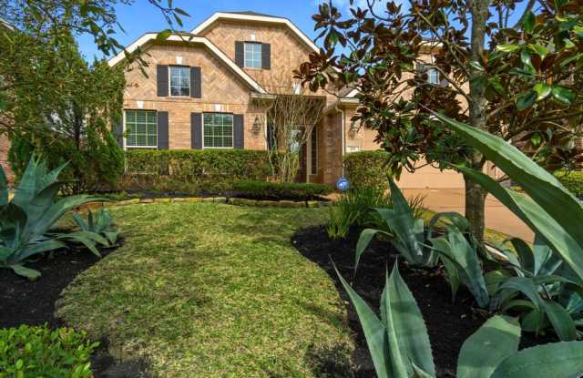 203 Pinto Point Dr Drive Gallery 3