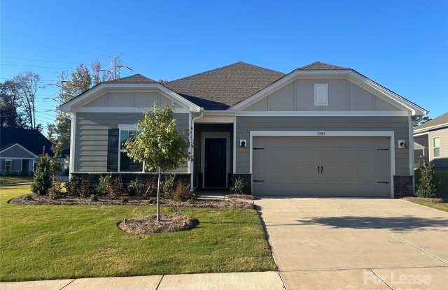 1003 Alicante Avenue - 1003 Alicante Avenue, Mecklenburg County, NC 28214