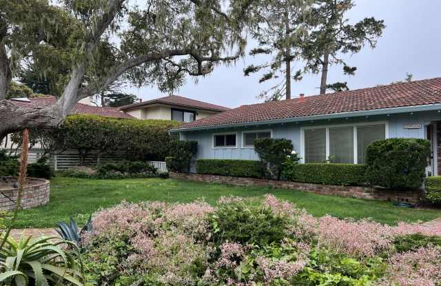 2934 Lupin Lane Gallery 2