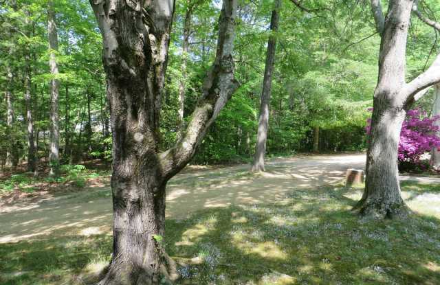 39520 HARPERS CORNER ROAD Gallery 4