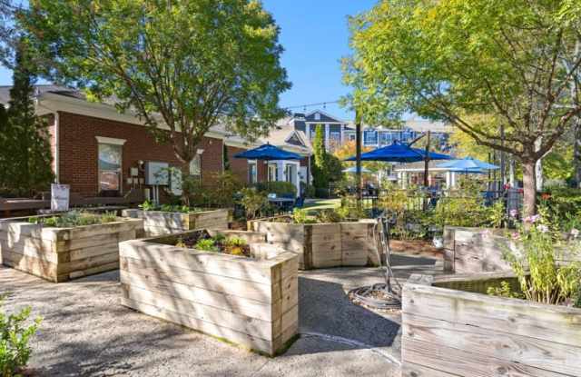 Park at Johns Creek - Senior Housing Gallery 3