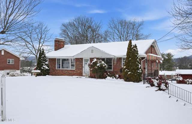 604 Ridgeview Drive - 604 Ridgeview Drive, Johnson City, TN 37604