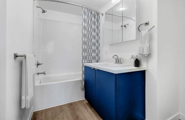 Shoreline Apartments photos photos