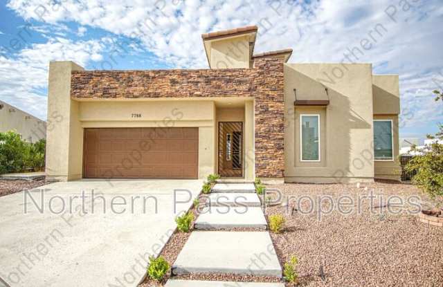 7788 Enchanted Falcon photos photos 7788 Enchanted Falcon photos photos