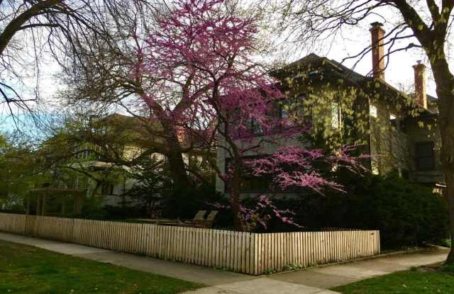 201 South Taylor Avenue - 201 South Taylor Avenue, Oak Park, IL 60302