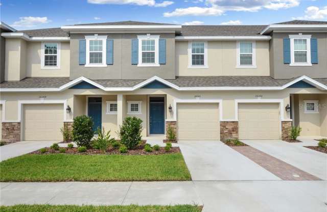 26360 LIMESTONE SPRINGS WAY - 26360 Limestone Springs Way, Wesley Chapel, FL 33544