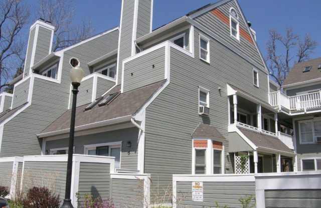Super sunny & sweet 1 bedroom condo in the heart of Boulder photos photos